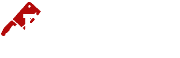 Dzikoo